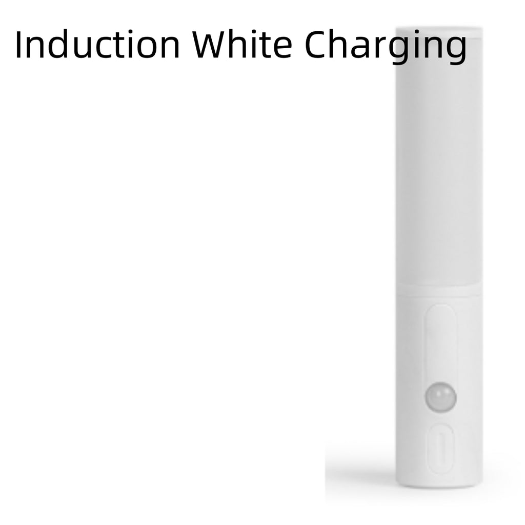 Motion Sensor LED Night Light (Rechargeable)